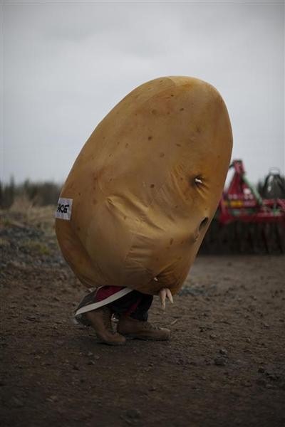 1.000.000 υπογραφές  απαγόρεψαν την καλλιέργεια της μεταλλαγμένης πατάτας Amflora στην Ευρώπη.