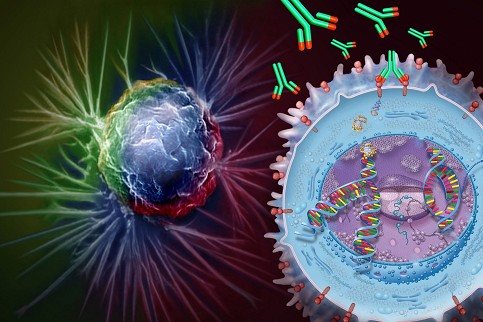 Ηλεκτρομαγνητικά πεδία θεραπεύουν τον καρκίνο του ήπατος