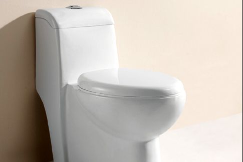 Το καζανάκι της τουαλέτας «εκτοξεύει στον αέρα κολοβακτηρίδια»