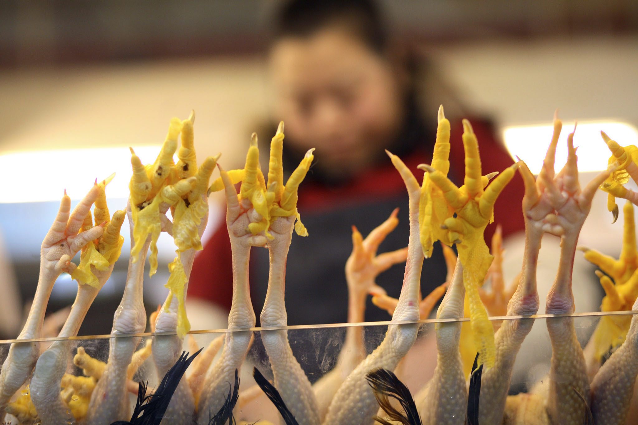 Θανατηφόρο κρούσμα της γρίπης των πτηνών στην Ινδονησία