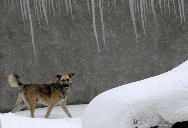 Τις πιο κρύες ημέρες του χειμώνα περιμένουν οι μετεωρολόγοι