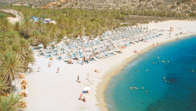 Κατά των δασοτεχνικών παρεμβάσεων στο Βάι δηλώνουν βουλευτές της Κρήτης