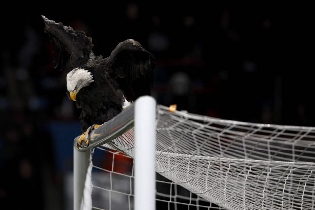 Προβάδισμα για Κρίσταλ Πάλας πριν το Σίτι-Λίβερπουλ