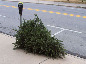 Ξεστόλισες το έλατο; Ανάλαβε δράση πριν σου μείνει αμανάτι