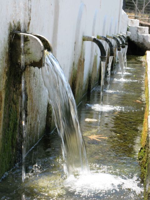 Απολύτως ασφαλές το νερό της Πορταριάς διαβεβαιώνει στο in.gr ο δήμαρχος Βόλου