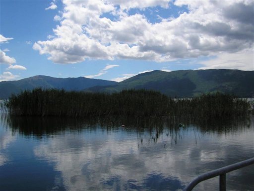 Ανεξέλεγκτη η λαθροθηρία στο Εθνικό Πάρκο Πρεσπών