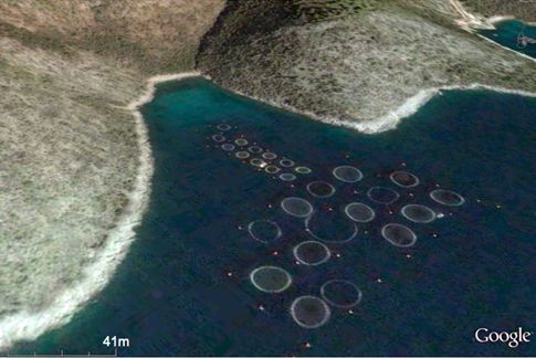 Το Google Earth αποκαλύπτει την αλήθεια για τα ιχθυοτροφεία στην Ελλάδα