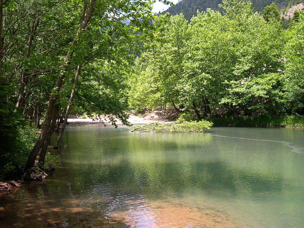 Ξενώνας «Η Γωνιά» στο Μικρό Χωριό Ευρυτανίας: αξέχαστη γιορτινή διαμονή και παραδοσιακή φιλοξενία