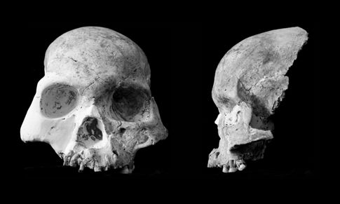 «Άγνωστο είδος ανθρώπου» ζούσε στην Κίνα μέχρι τη νεολιθική εποχή