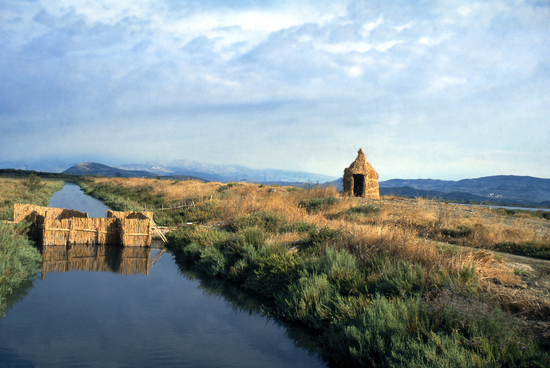 Άρτα, Κόπραινα και Κορωνησία