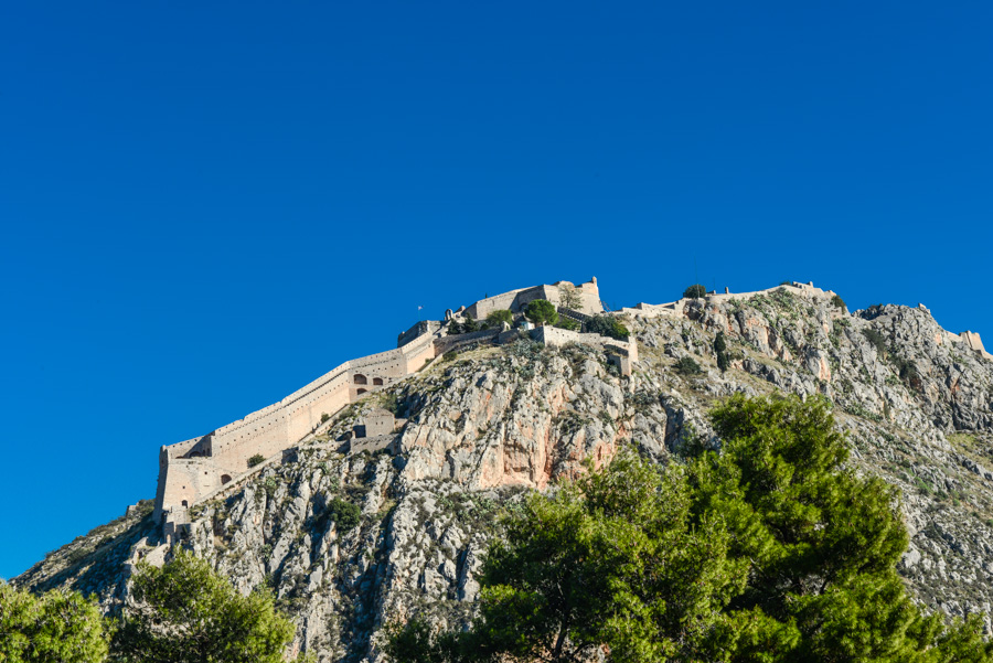 Ο Βασιλιάς της Ασίνης