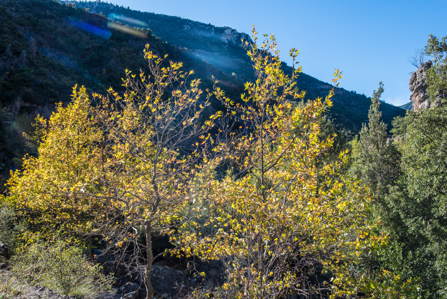 Παναγία Έλωνα: το ταξίδι αξίζει
