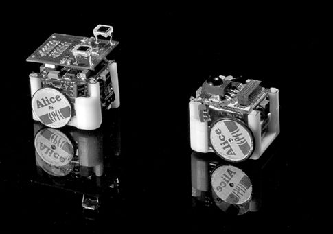 «Κοινωνικά» ρομπότ δείχνουν πώς τα μυρμήγκια βρίσκουν το δρόμο τους