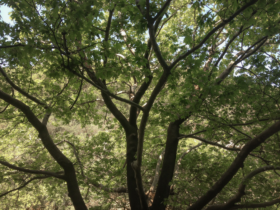 Ο δροσερός καταρράκτης της Λευκάδας