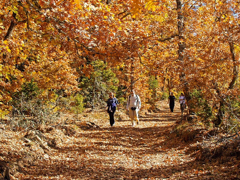 11 Δεκεμβρίου 2014: η γιορτή των ελληνικών βουνών