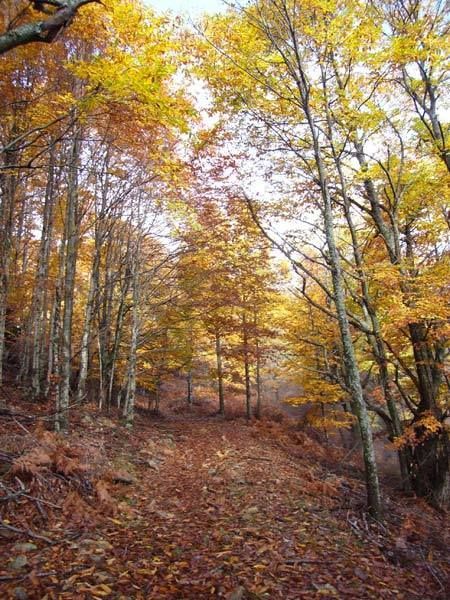 Εναλλακτικές και φυσιολατρικές αποδράσεις στην Πέλλα