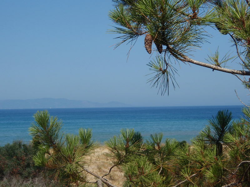 Ηλεία, διακοπές με άρωμα εξωτικό