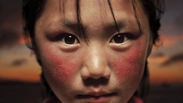 WWF: Ενα ταξίδι σε κάθε γωνιά του πλανήτη σε 1,5′