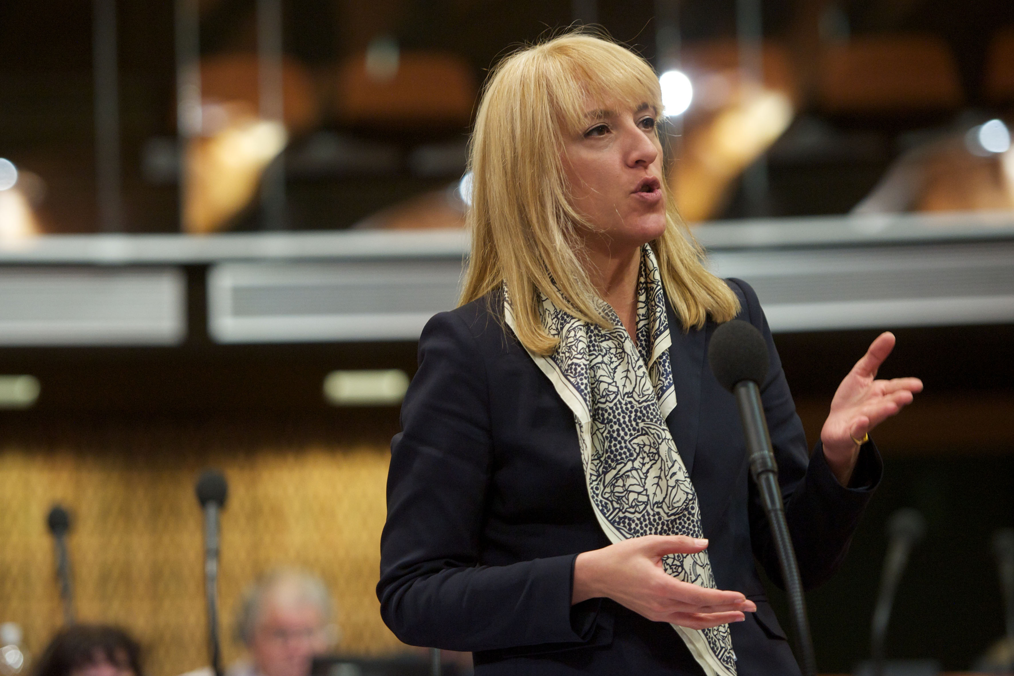 Ρ.Δούρου: Τζαμί τώρα στην Αττική και για λόγους εθνικής ασφάλειας