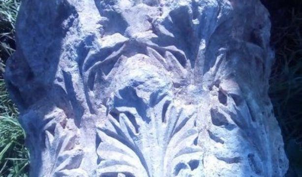 Λάρισα: Έψαχνε για μπάλα και βρήκε σπάνιο κιονόκρανο