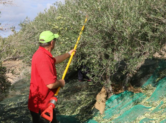 Από την ερχόμενη εβδομάδα οι αγροτικές επιδοτήσεις