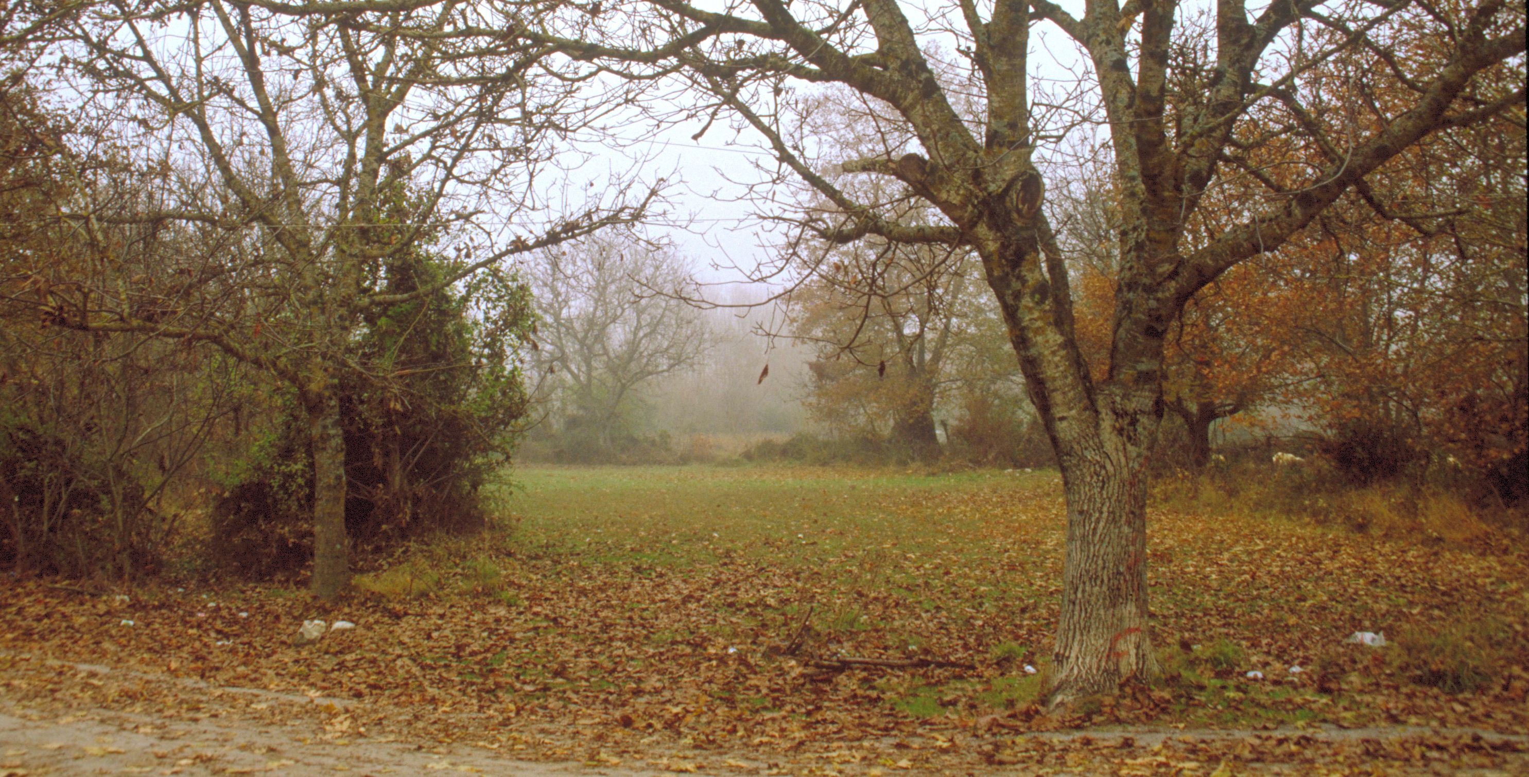 Ευρυτανία: «Γεια σας, ψηλά βουνά!»