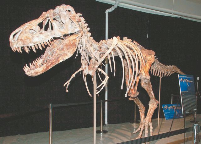 Ο Νίκολας Κέιτζ επέστρεψε στη Μογγολία κλεμμένο δεινόσαυρο