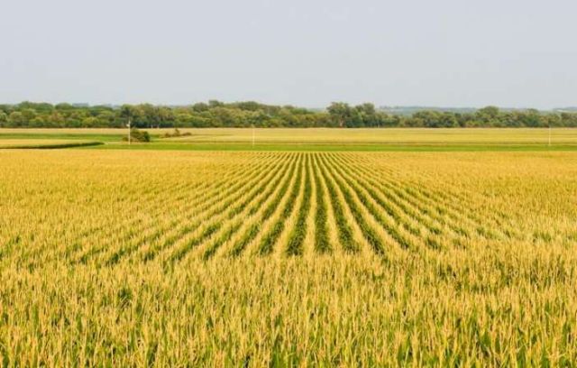 «Καταστροφική» απώλεια καλλιεργήσιμων εκτάσεων λόγω διάβρωσης
