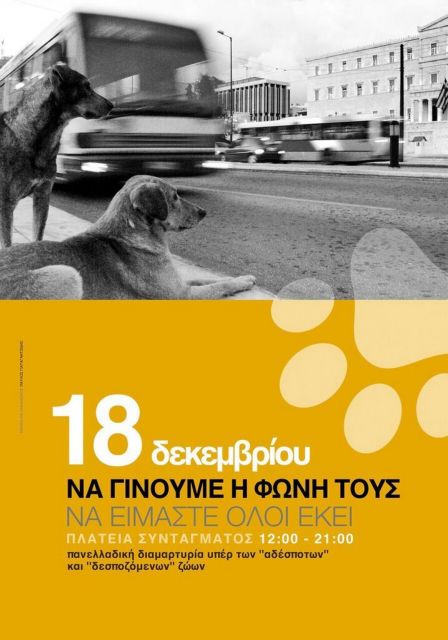 Γίνε η φωνή τους: Συγκέντρωση στο Σύνταγμα κατά της κακοποίησης των ζώων