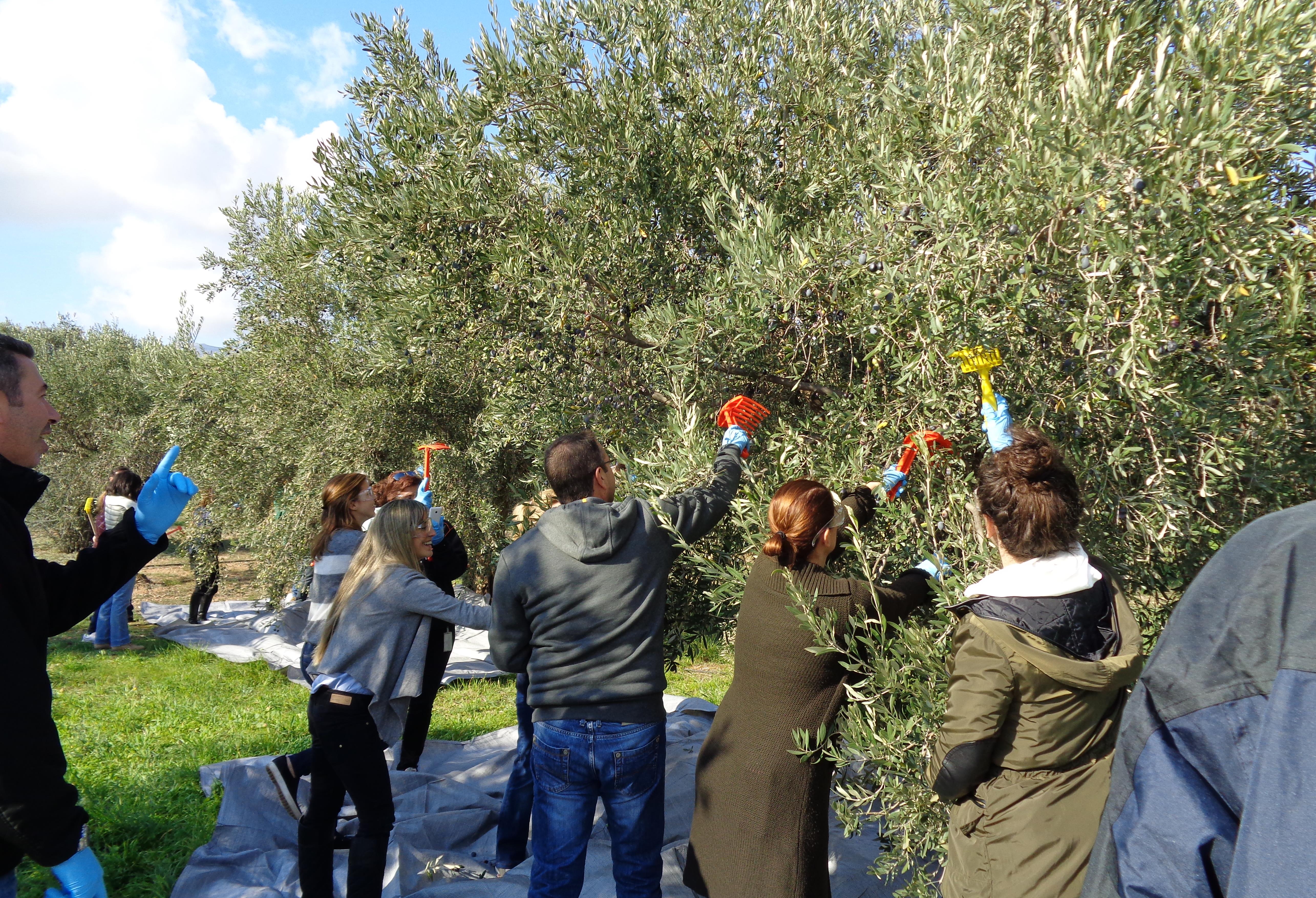 Οι εργαζόμενοι της Bosch «Συλλέγουν & Προσφέρουν» ενισχύοντας 210 φτωχές οικογένειες