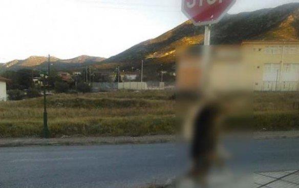 Κτηνωδία στη Χαλκιδική: Σκότωσαν και κρέμασαν σκύλο σε πινακίδα