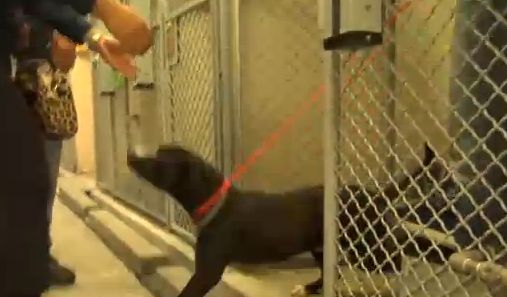 Ο Μπένι βρήκε οικογένεια και δεν μπορεί να κρύψει τη χαρά του