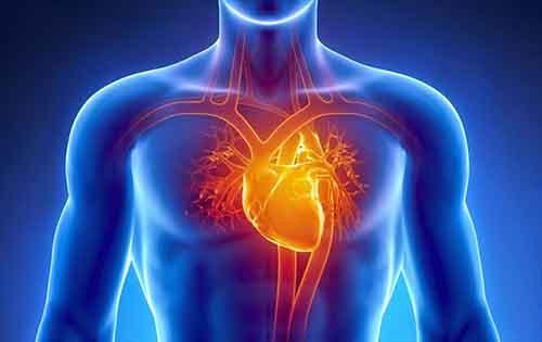 Οι καινοτομίες της τεχνολογίας στην καρδιολογία το 2015