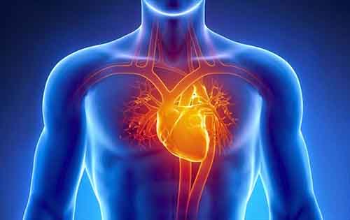 Οι καινοτομίες της τεχνολογίας στην καρδιολογία το 2015