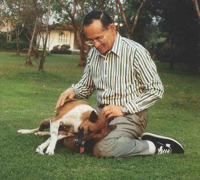 Ταϊλάνδη: Θρήνος για την σκυλίτσα του βασιλιά, υπόδειγμα... υπακοής στο Στέμμα