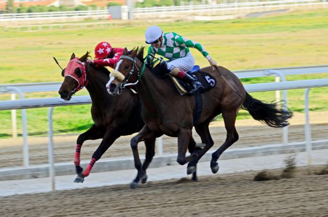 Πρεμιέρα την Παρασκευή για τις ελληνικές ιπποδρομίες