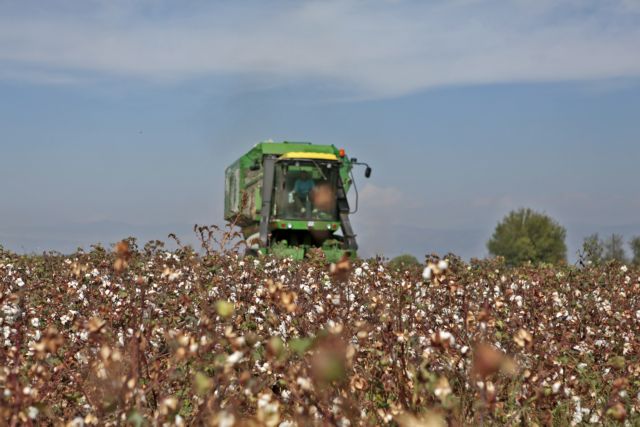 Κομπίνα σε βάρος του ΟΠΕΚΕΠΕ στη βόρεια Ελλάδα