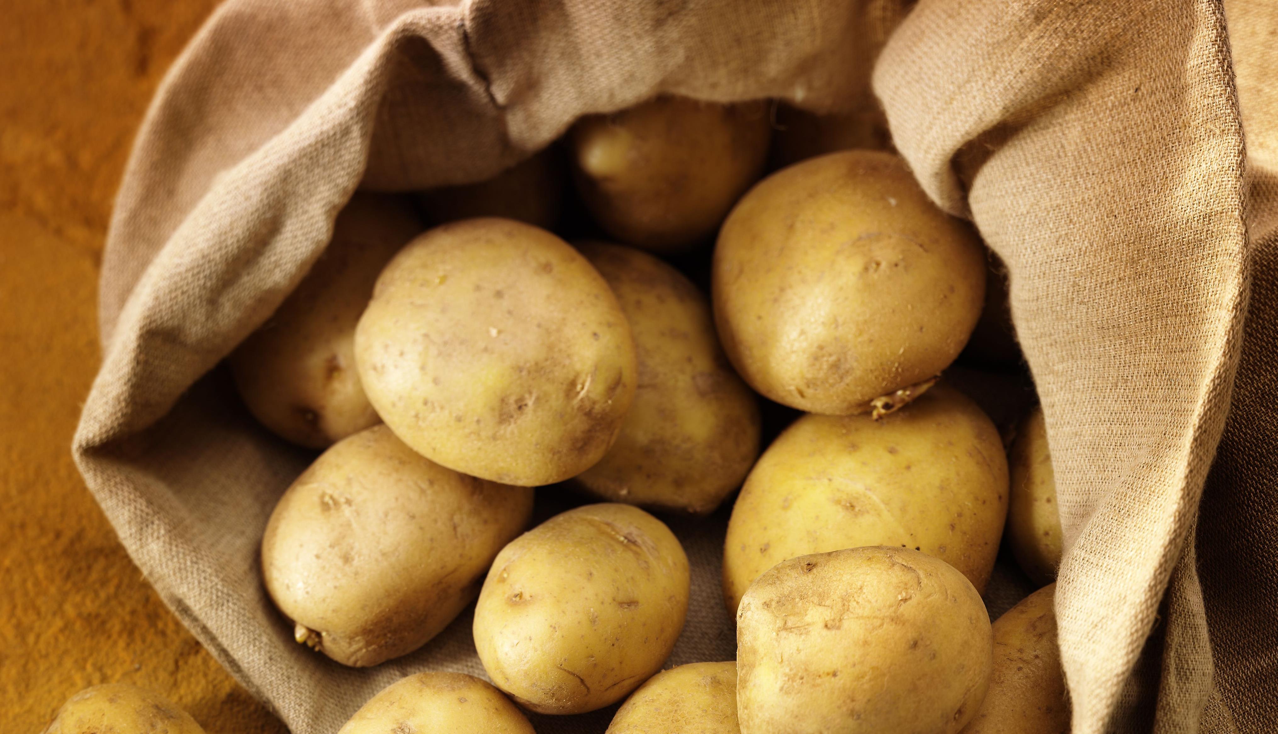 «Καρπός φροντίδας»: ‘Ενα πρότυπο πρόγραμμα συμβολαιακής γεωργίας