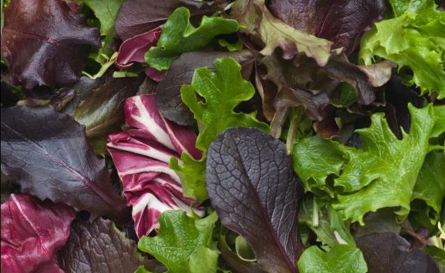 ΗΠΑ: Ένας νεκρός, 12 νοσηλεύονται με λιστερίωση από έτοιμες σαλάτες