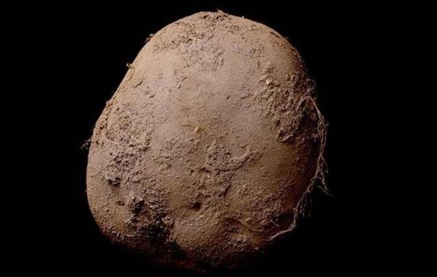 Φωτογραφία μίας πατάτας αγοράστηκε έναντι 1 εκατ. ευρώ
