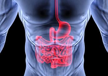 Εκπαιδευτική Διημερίδα του ΕΛΙΓΑΣΤ στις 12 και 13 Φεβρουαρίου