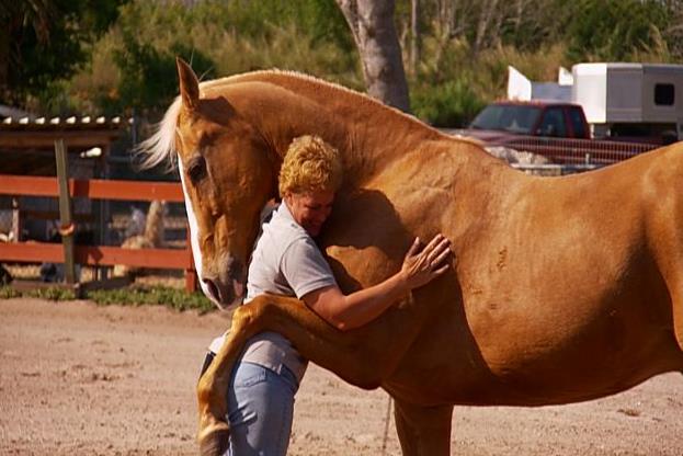 Τα άλογα «αναγνωρίζουν τα ανθρώπινα συναισθήματα»