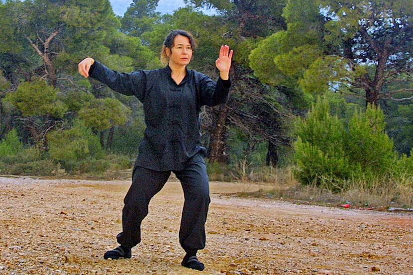 Σεμινάριο Tai Chi στο δάσος της Πάρνηθας
