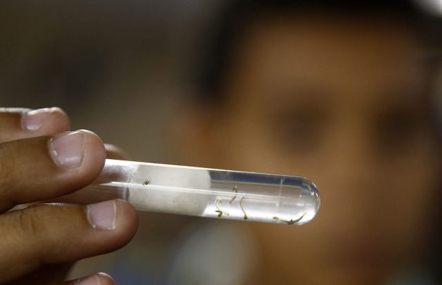 Η Βραζιλία ερευνά και άλλα κρούσματα μικροκεφαλίας