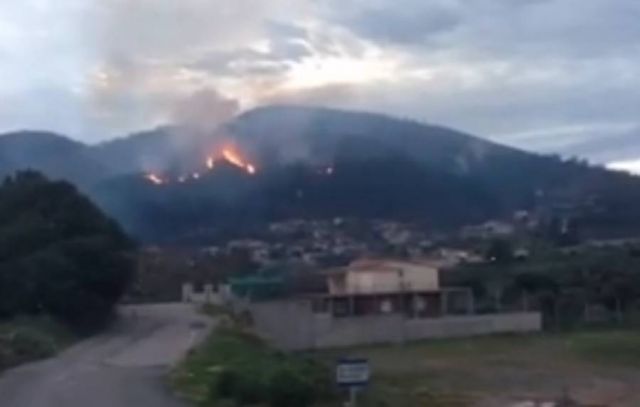Υπό έλεγχο η μεγάλη πυρκαγιά στην Τριφυλία Μεσσηνίας