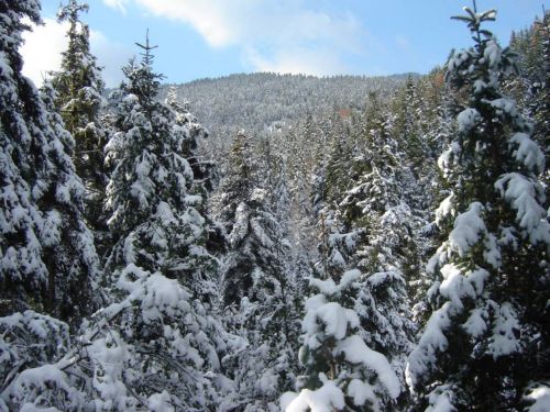 Το in.gr και ο Κώστας Μπακογιάννης σάς ταξιδεύουν στη Στερεά Ελλάδα!