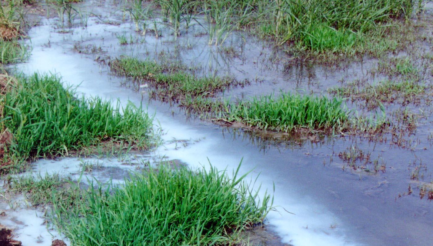 Στο ευρωπαϊκό δικαστήριο η Ελλάδα για τη ρύπανση των υδάτων
