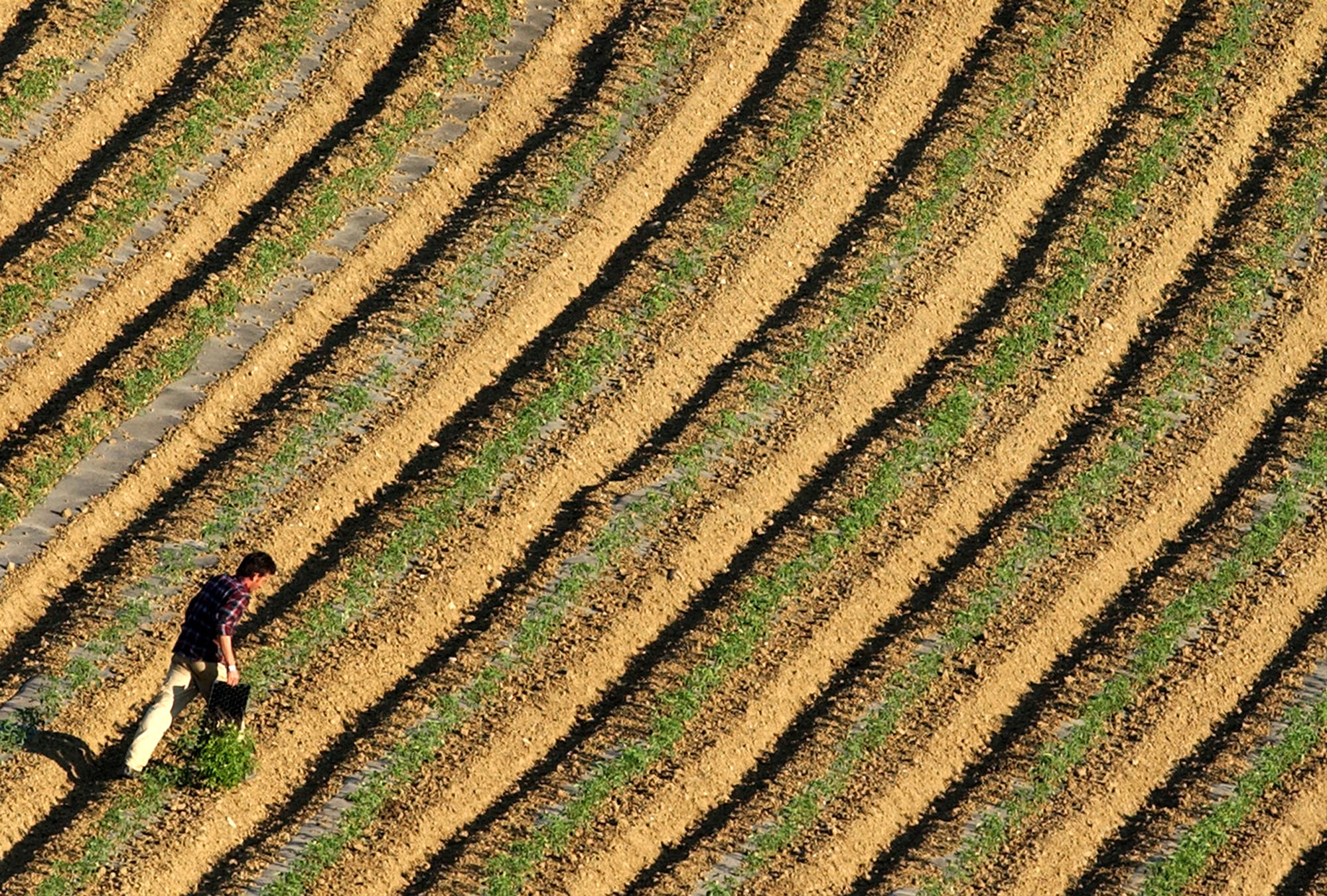 Σε «άνυδρα εδάφη» η ελληνική γεωργία
