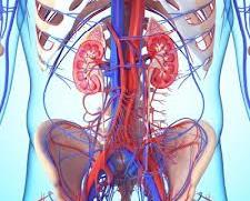 Εξετάσεις προληπτικού ελέγχου με αφορμή την Παγκόσμια Ημέρα Νεφρού