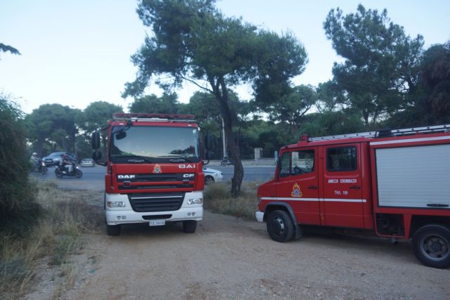 Σώοι οι τρεις 17χρονοι που είχαν χαθεί τη νύχτα σε δάσος στον Ωρωπό